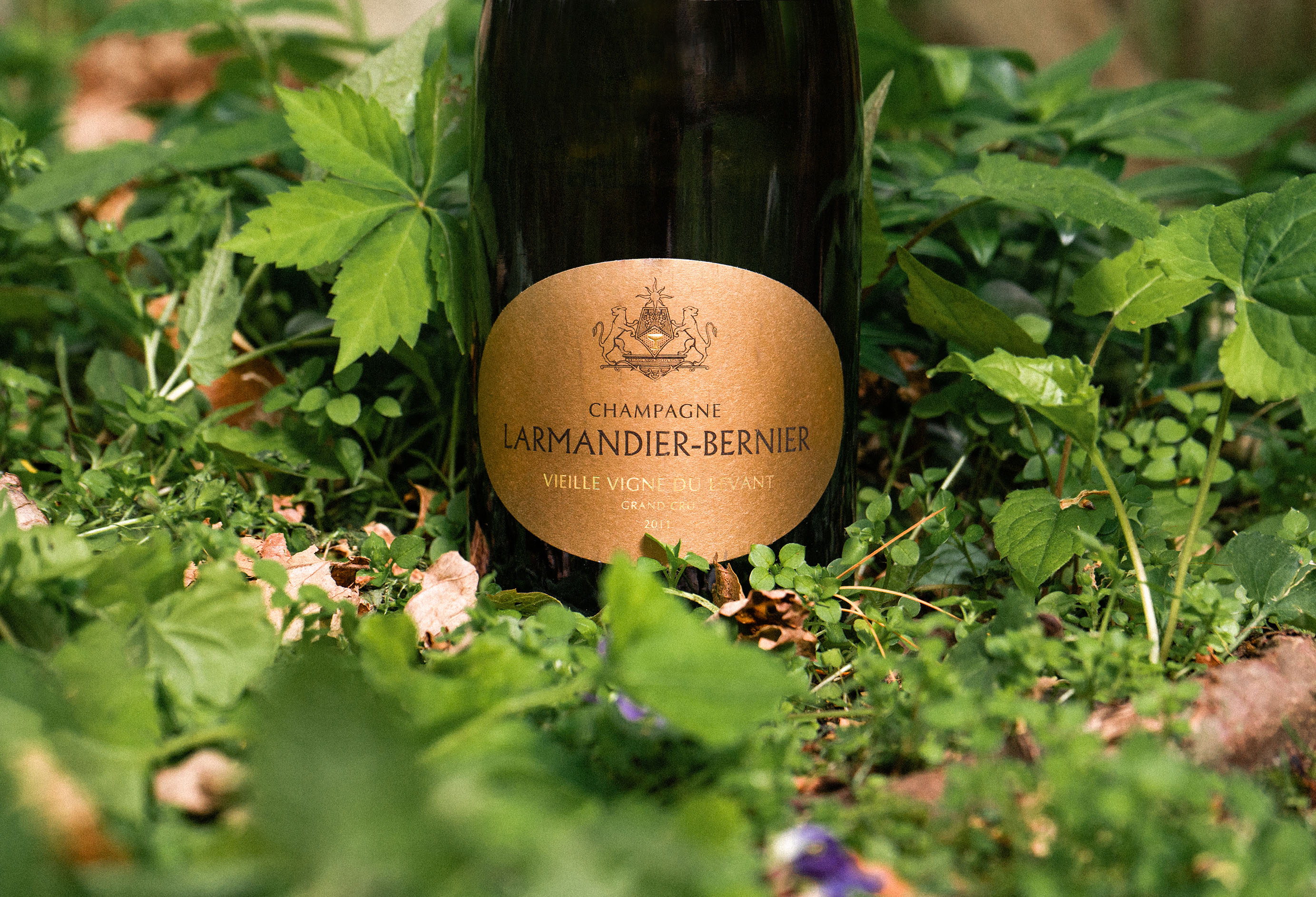 Larmandier-Bernier Vieille Vigne du Levant 2011