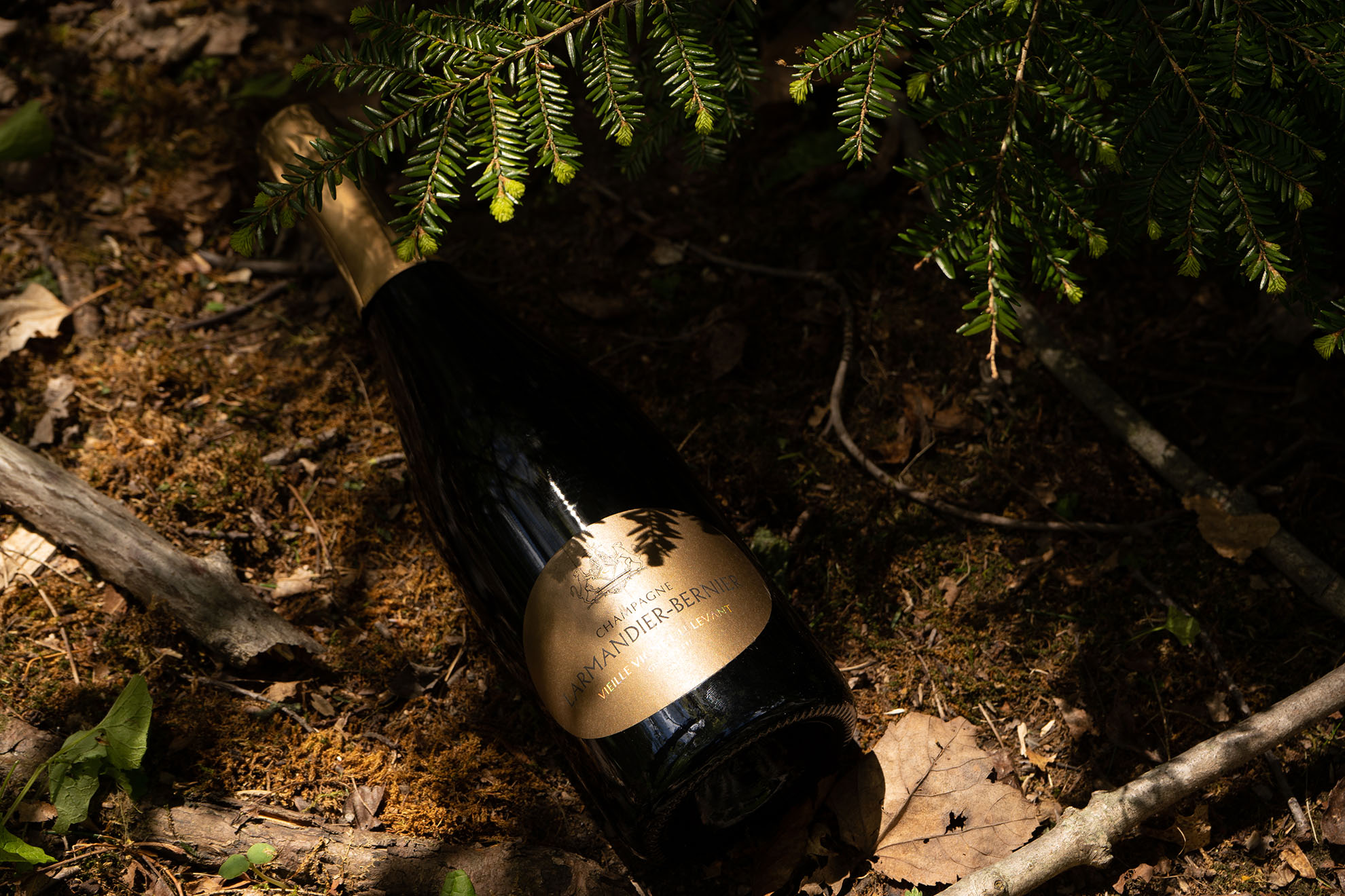 Larmandier-Bernier Vieille Vigne du Levant 2011 on the Ground