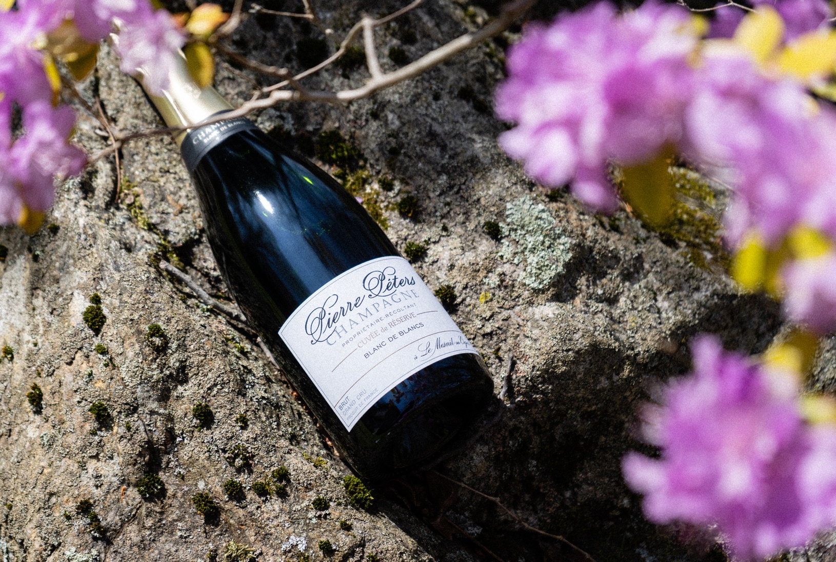 Pierre Péters's Cuvée de Réserve on Rock with Flowers