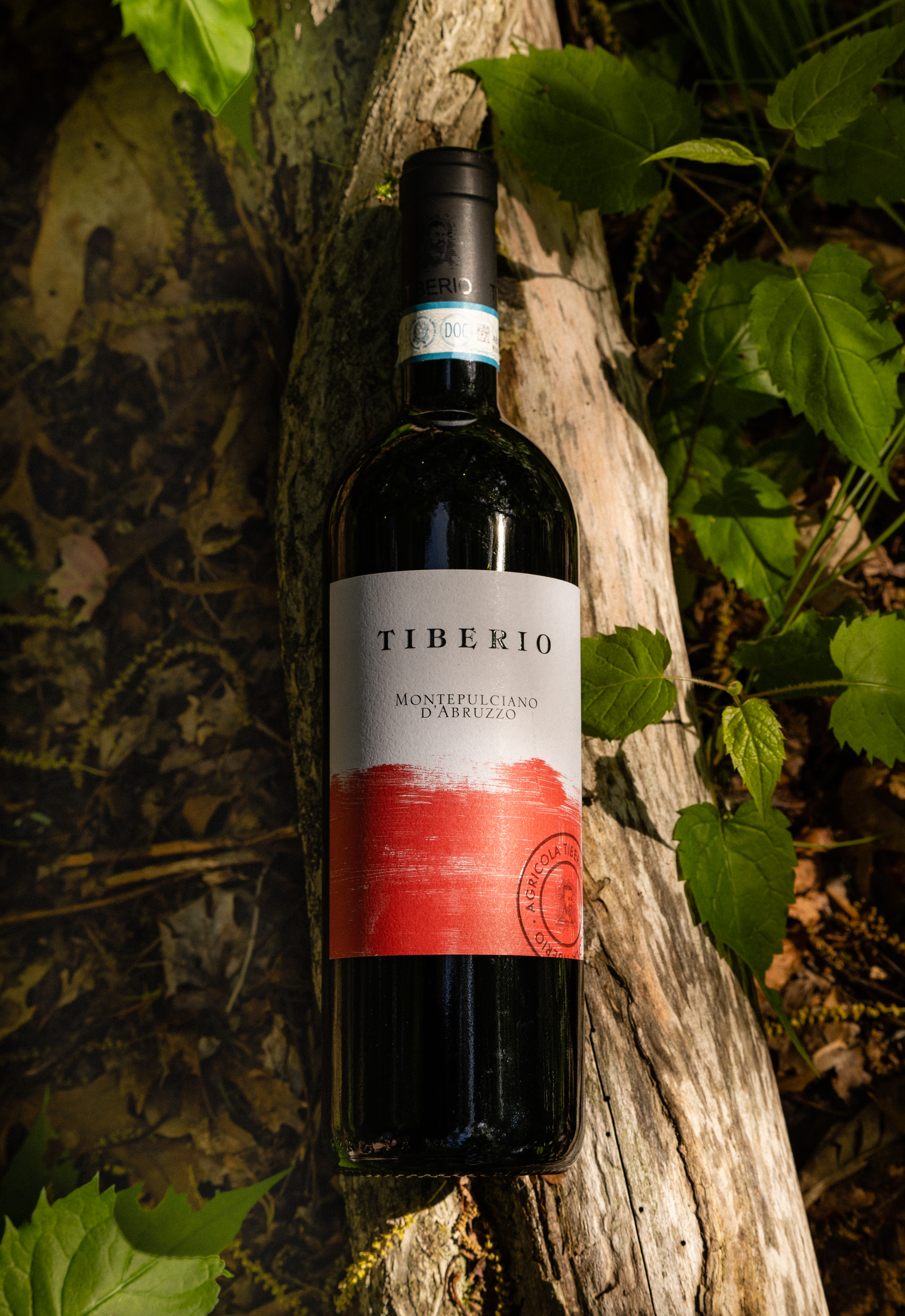 Tiberio Montepulciano d'Abruzzo 2018